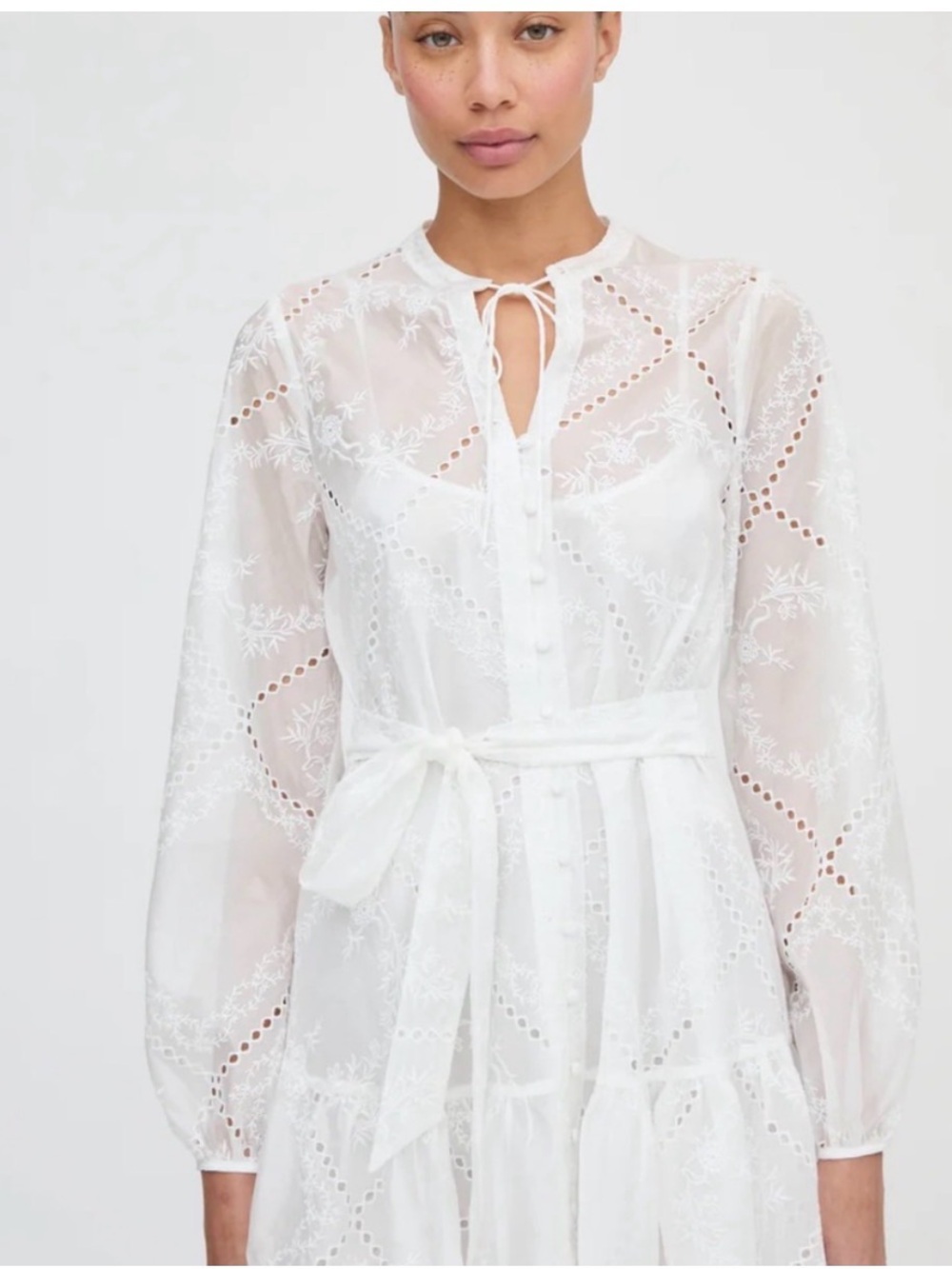 Hill House Yara Mini Embroidered Long-Sleeve Sheer Dress